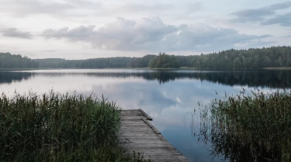 Деревянный мостик у воды